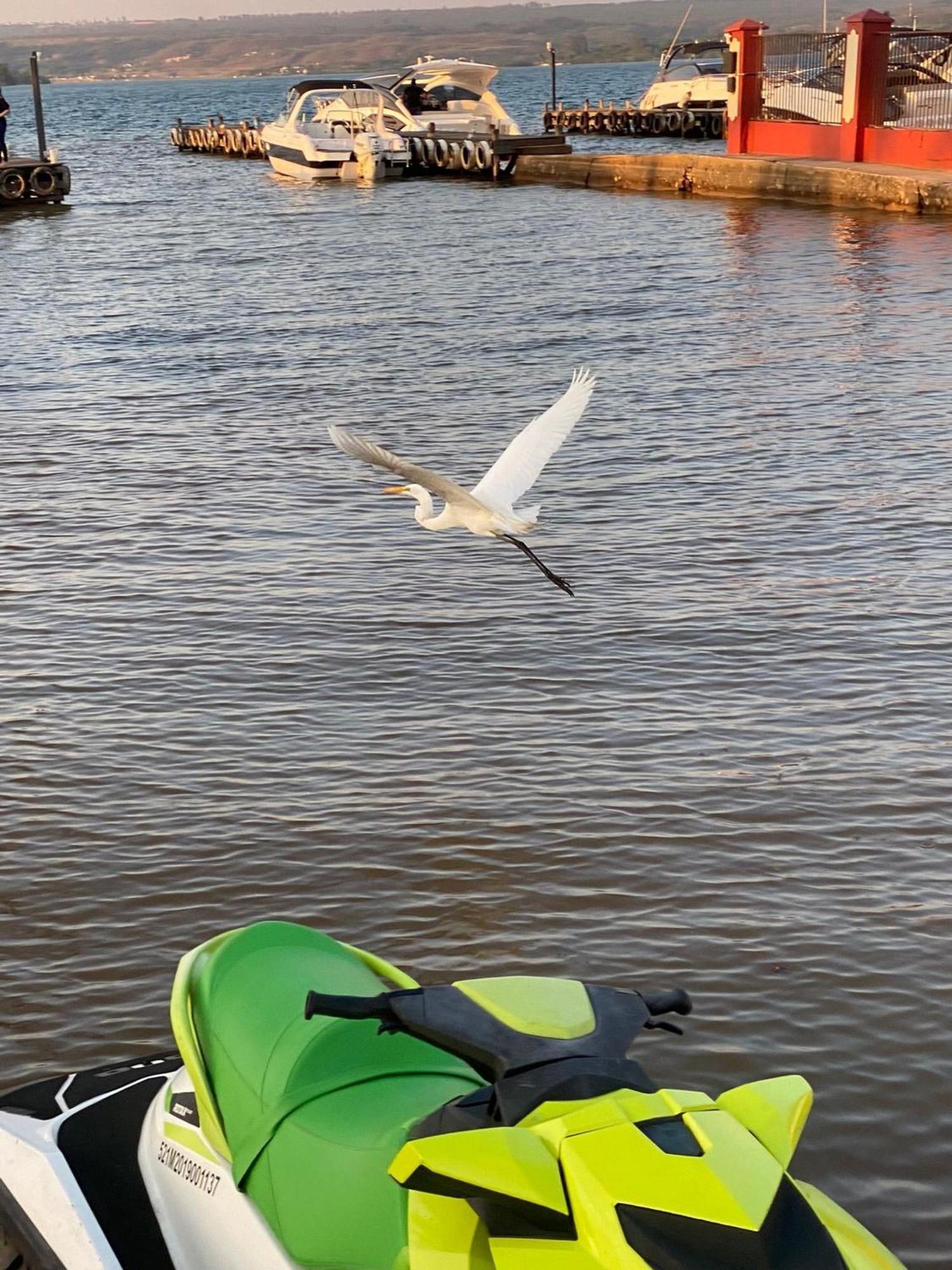 Flat Beira Lago No Centro De Bsb Brezilya Dış mekan fotoğraf